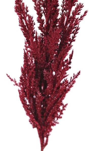 Artplants Kunstzweig Pampasgras Rispe Themba, Burgunderrot, 115Cm-image