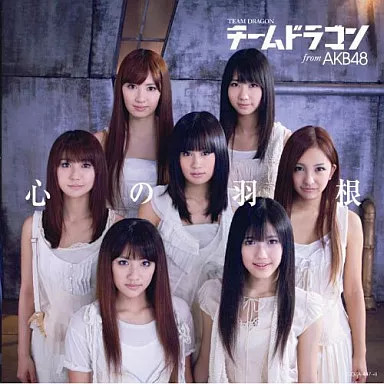 AKB48 Team Dragon Kokoro no Hane CD First Press Limited