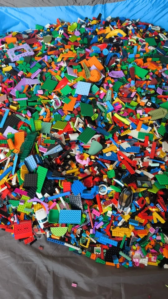 Lego Sfuso Assortito Lavato e Sanificato al Kg 100% Originale Lotto da 1Kg - Immagine 4 di 4