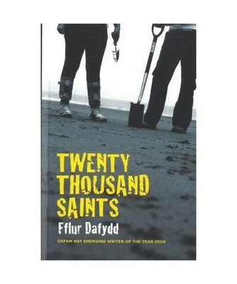 Twenty Thousand Saints, Dafydd, Fflur