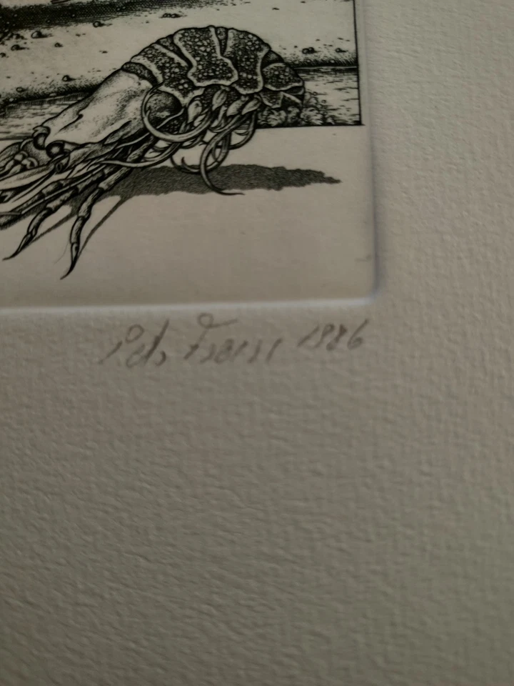 Peter Froese, Fisch am Strand, Kupferstich, handsigniert, numeriert 1986 - Bild 3 von 3