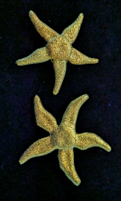 Two Dichroic Fused Glass Pins Brooch Starfish - CMS Studio