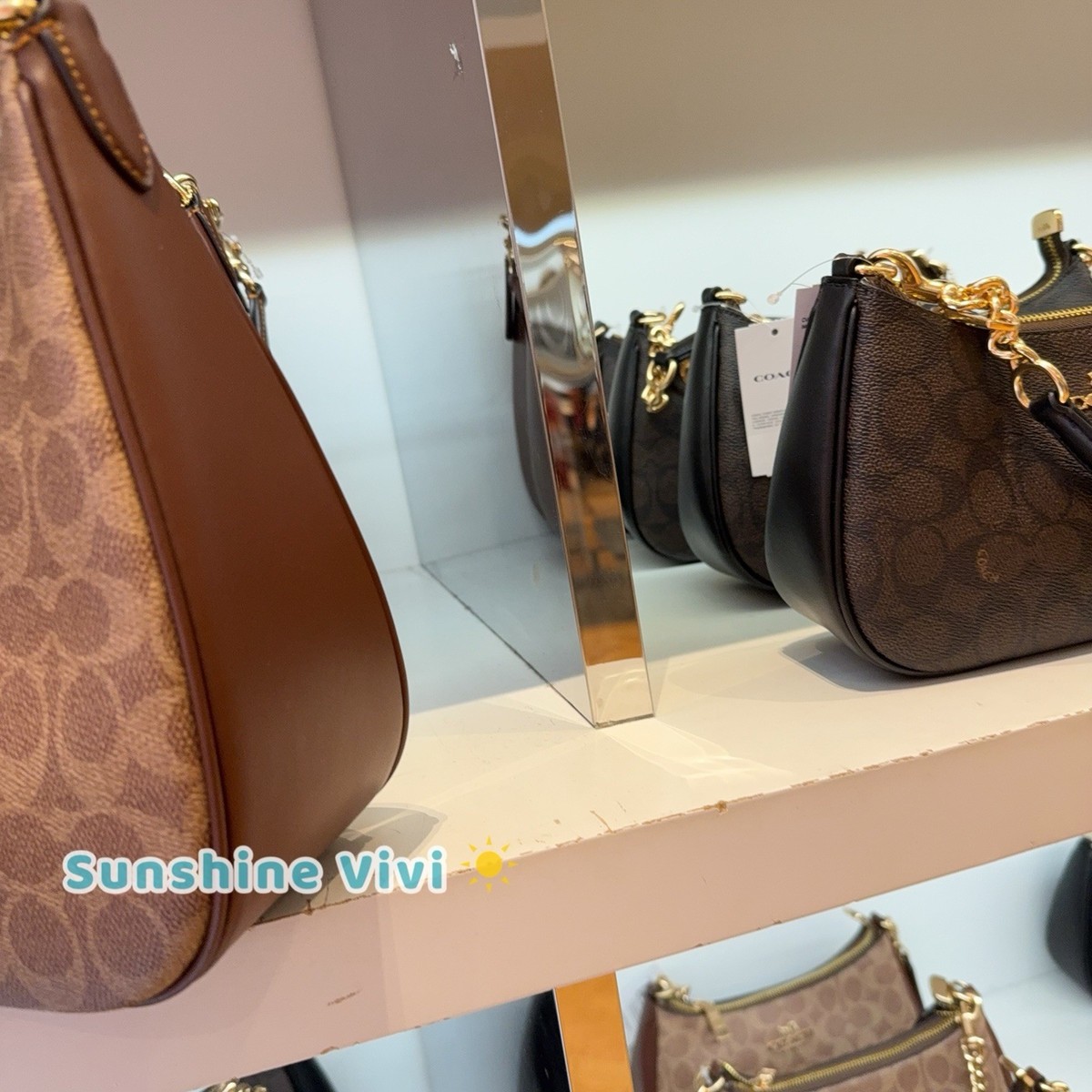 NWT Coach Teri Hobo Bag Signature Canvas/Gold/Tan/Brown CV940 | eBay