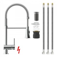 KüChenarmatur SpüLtisch Armatur Spiralfeder Mischbatterie Brause, Niederdruck
