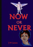 Now Or Never Judi M James Taschenbuch Kartoniert / Broschiert Englisch 2012