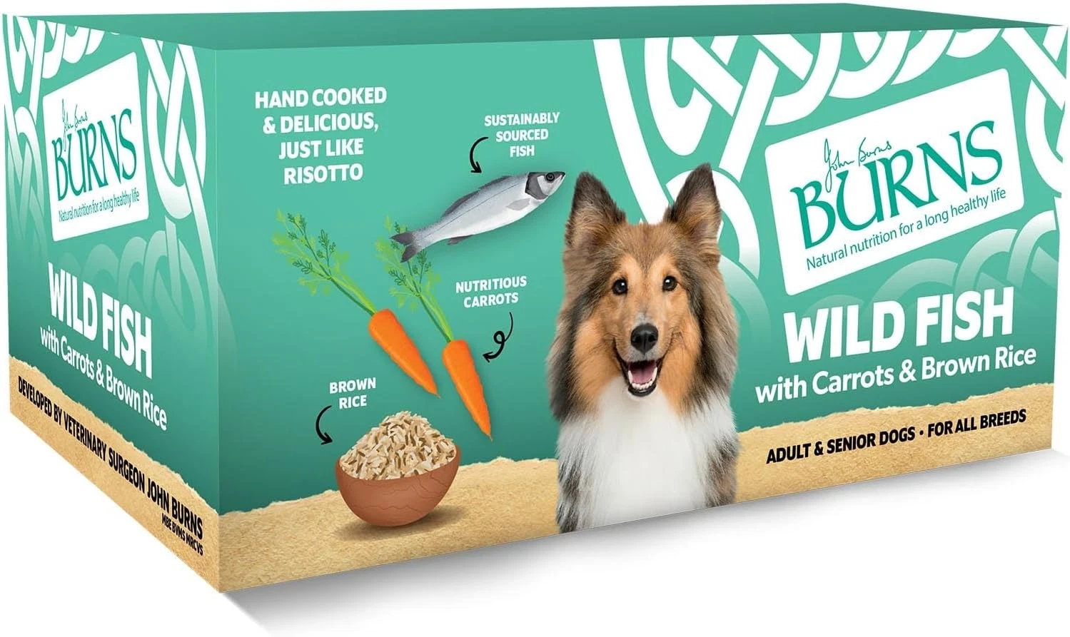Burns Pet Natural Nutrition Adult & Senior Wet Dog Food Wild Fish, Carrots & Who
