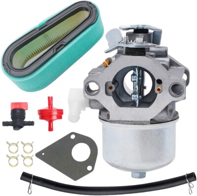495782 Carburettor for BS 497581 494894 495784 494881 495778 494883 ...