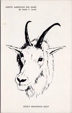 Big Game Goat Keith Smith Art Spences Bridge BC Acacia Grove Motel Postcard D64