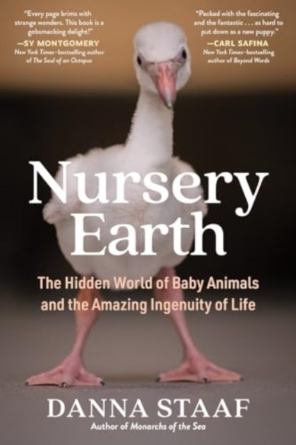 Nursery Earth by Danna Staaf (Paperback Book)