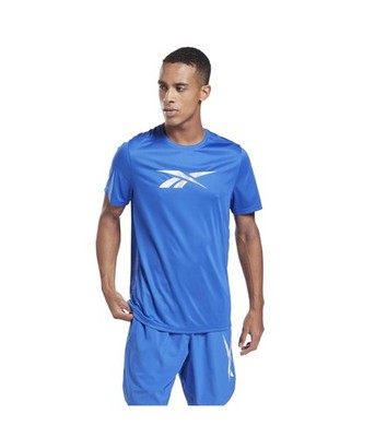 Reebok Mens Workout Ready Graphic T-Shirt, Blue, Medium