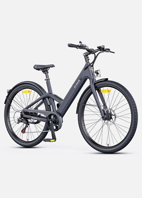 ENGWE N1 ST EBIKE Leicht Kohlefaser Elektrofahrrad 250W 10AH Akku E Mountainbike