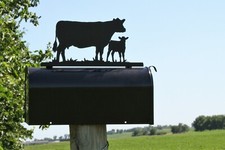 Cow and Calf Pair 2 Metal Mailbox Topper 7.5 Inches Tall Matte Black