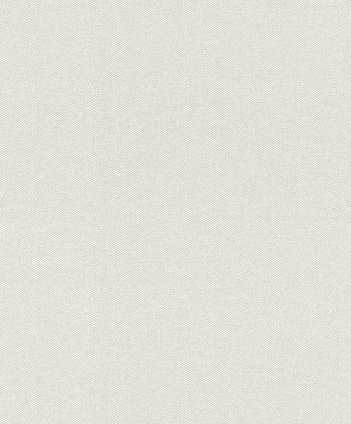 Rasch Textil Tapete Abaca 229256 Creme Weiß Textilstruktur Uni Vliestapete-image
