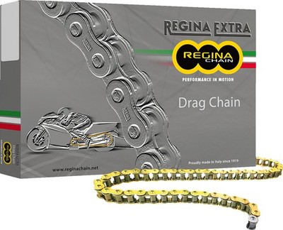 Regina Chain 520 DR Series Drag Racing Drive Chain 170 Links