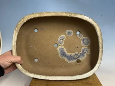 Cream  Glazed Bonsai Tree By  Tokoname Shuho 14 1/8” Unique Pitted Style