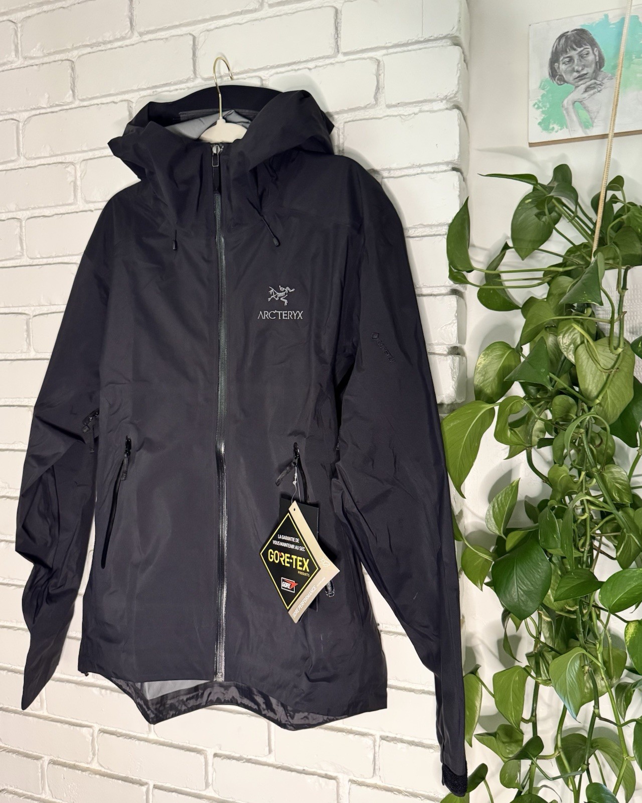 Chaqueta Arcteryx Beta LT Shell