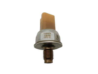 Railsensor Drucksensor für Opel Crossland X P17 17-20 TD 1,6 88KW 85PP52-02