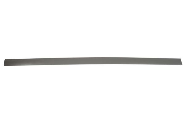 Right Front BLIC 5703-04-5077576P Trim/Protection Strip, wing for OPEL