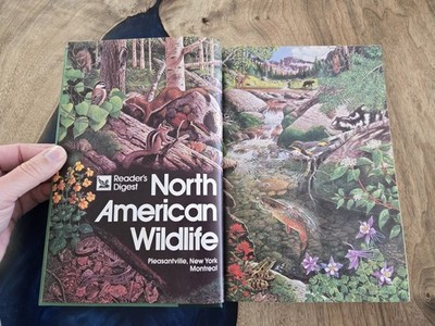 1984 NORTH AMERICAN WILDLIFE Trees Birds Reptiles Insects Fish Mammals Hardcover
