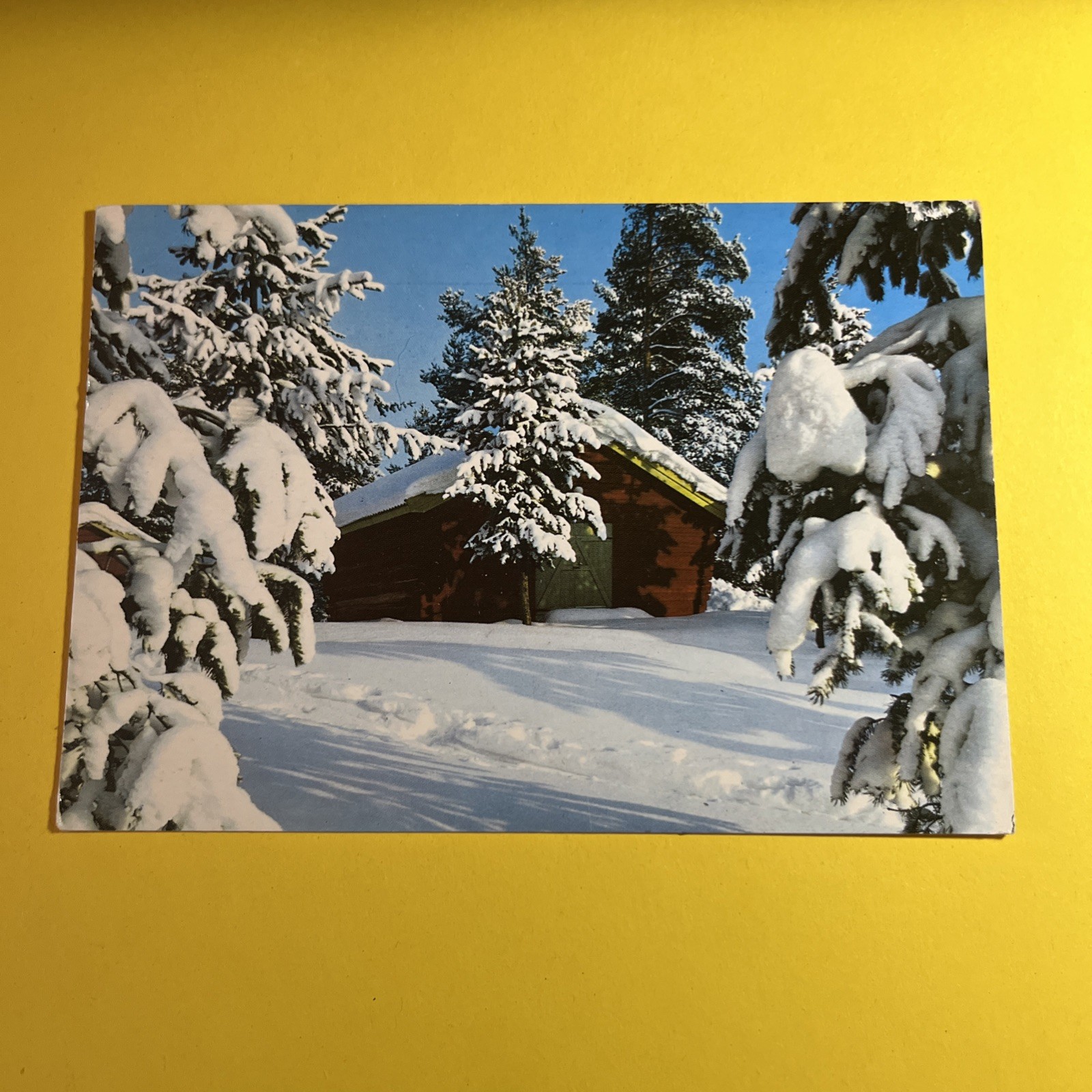 TRENTINO INVERNALE PRIMO BACIO DEL SOLE- CARTOLINA A COLORI COLLEZIONE VIAGGIATA
