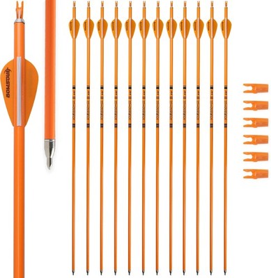 Carbon Arrow Archery 30inch Bright Colors Hunting Target Practice Arrows for Com