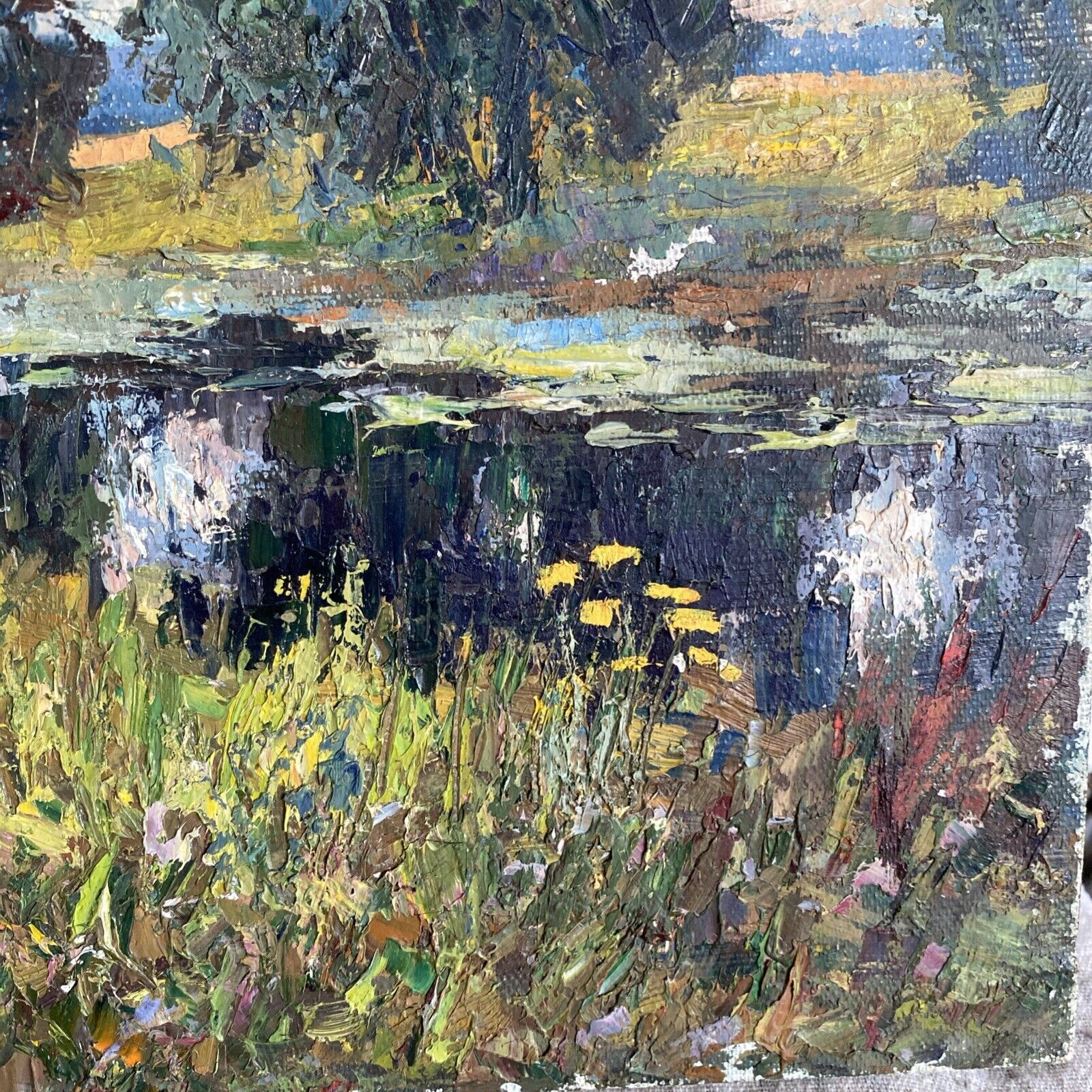 Picture 5 of 20