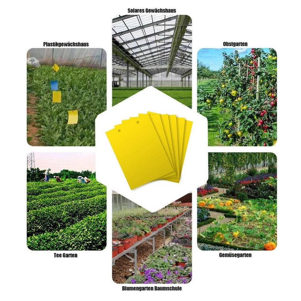 100X Gelbtafeln Gelbsticker Gelbtafel Falle Insektenfalle Trauermücken Kleber DE - Bild 4 von 4