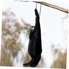 17 Inches Realistic Hanging Dead Crow, Lifesize Extra Large Black Feathered