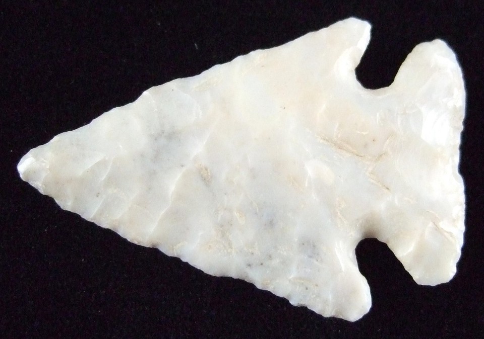 Exceptionally Fine Ohio Flintridge Flint Pine Tree Point with COA ...