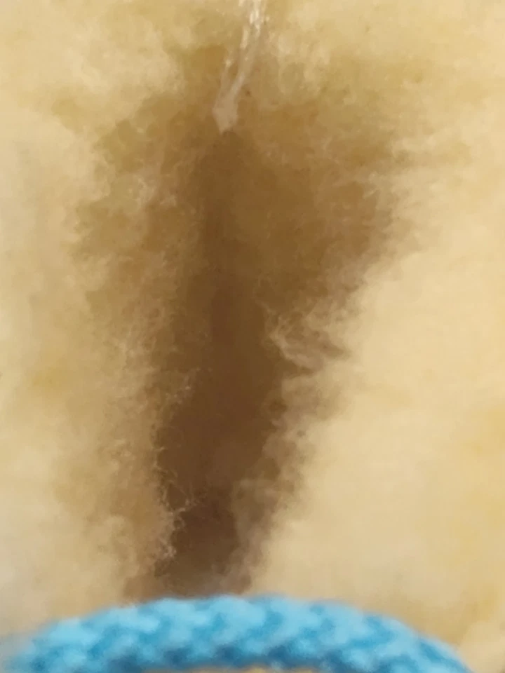 Zapatos de bebé talla 2 vintage niño azul o niña rosa suave por dentro Foto 2 de 4