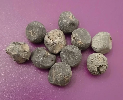 Civil War 10 Piece Lot Of Cannonshot From A 3" Dyer Cannister Shell