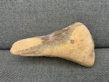 Large Fossil Whale Bone Section Bone North Sea, UK Specimen Dinosaur Age Rare !