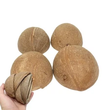 1031 Pk4 Half Shell Coconuts Natural Forage Chewing Party Arts Craft Parrot M...