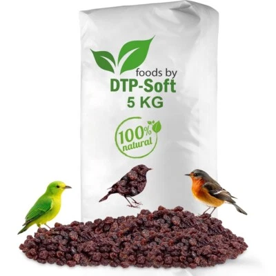 DTPSOFT 5kg Futterrosinen für Vogel Vogelfutter Wildvögelfutter Futterzwecke Rosinen TOP
