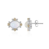 Radiant Welo Opal 14K Gold Akzent Silber Ohrringe