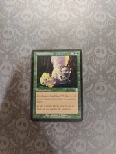 Squirrel Nest Odyssey Regular