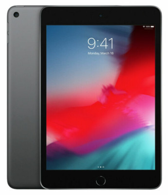 Apple iPad mini (5th Gen) 256 GB, Wi-Fi, 7.9 in - Space Gray