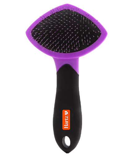 HARTZ, Groomer's Best Small Slicker Brush for Cats and Small Dogs, Black/Violet