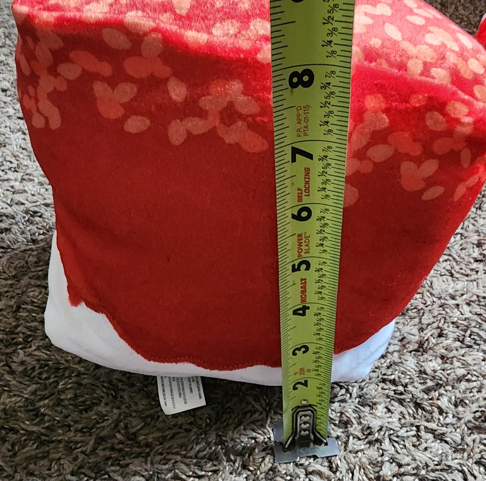 Picture 5 of 5