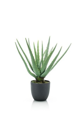 artplants Künstliche Aloe Vera EVELIO im Dekotopf, 35cm