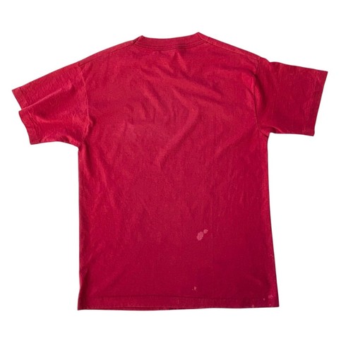 Camiseta Fruit of the Loom De Colección 95' Puntada Única Hot Springs Arkansas Gráfica Desvanecida M - Imagen 8 de 14