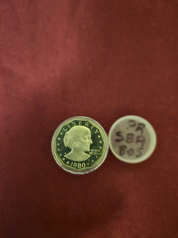 1980 Susan B. Anthony Dollar Coin $1 Roll Of  20 Clad Proofs Coins
