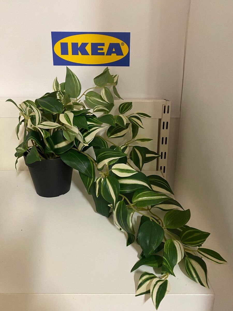 IKEA FEJKA Artificial potted plant,in/outdoor/tradescantia IKEA FEJKA Artificial potted plant,in/outdoor/tradescantia