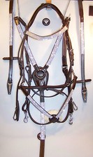 Luxus mexikanisch Trense + Vorderzeug Strass weiß Showtrense braun NEU VB WB SET