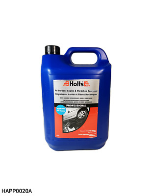 WERKSTATT UND MOTORENTFETTER 5L
