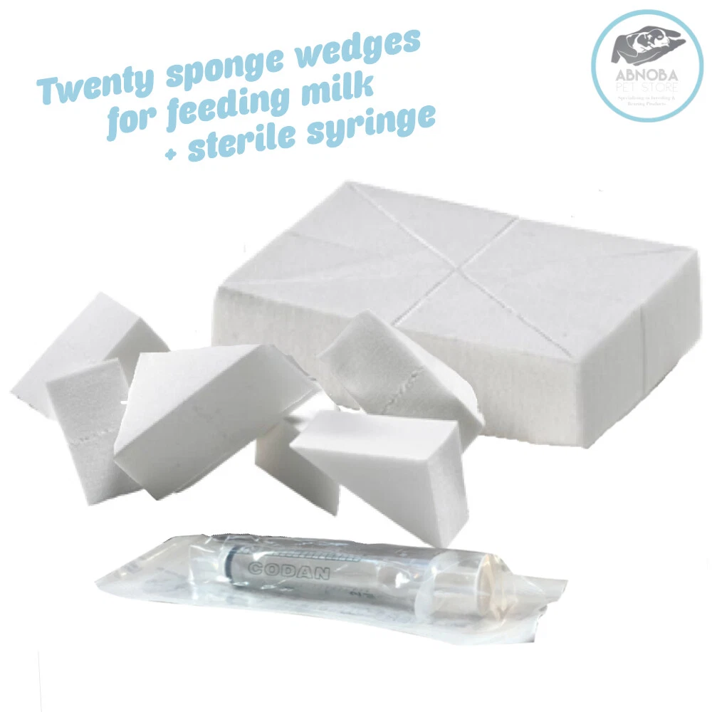 Sponge 2025 feeding kittens