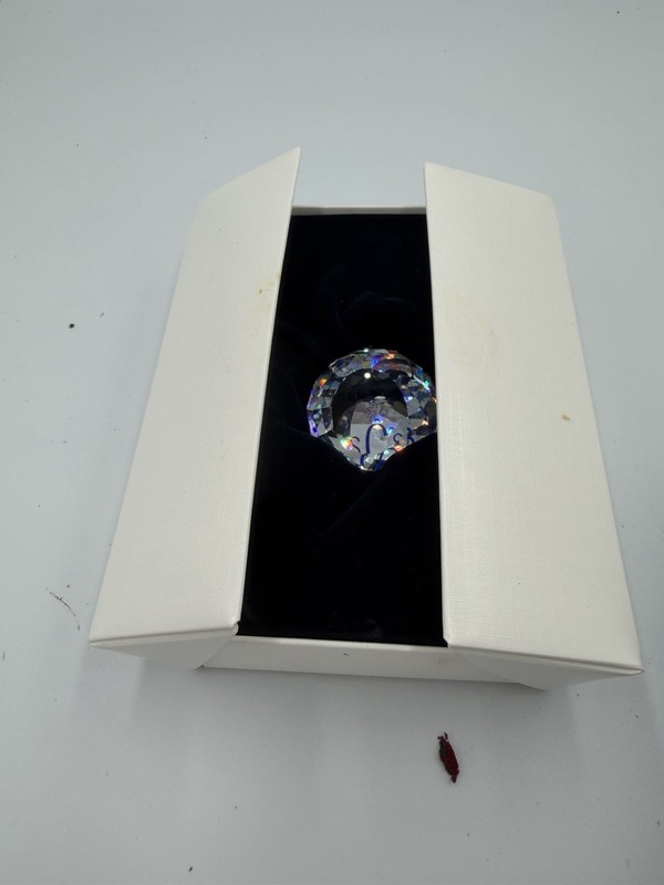 Swarovski Crystal SCS Paperweight