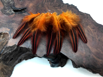 10 Pieces Orange Dyed Jungle Cock Loose Plumage Feather Fly