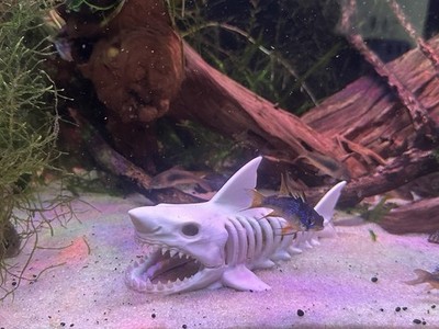 Spooky Shark Skeleton Aquarium Decor Fish Tank Decoration 3D Print
