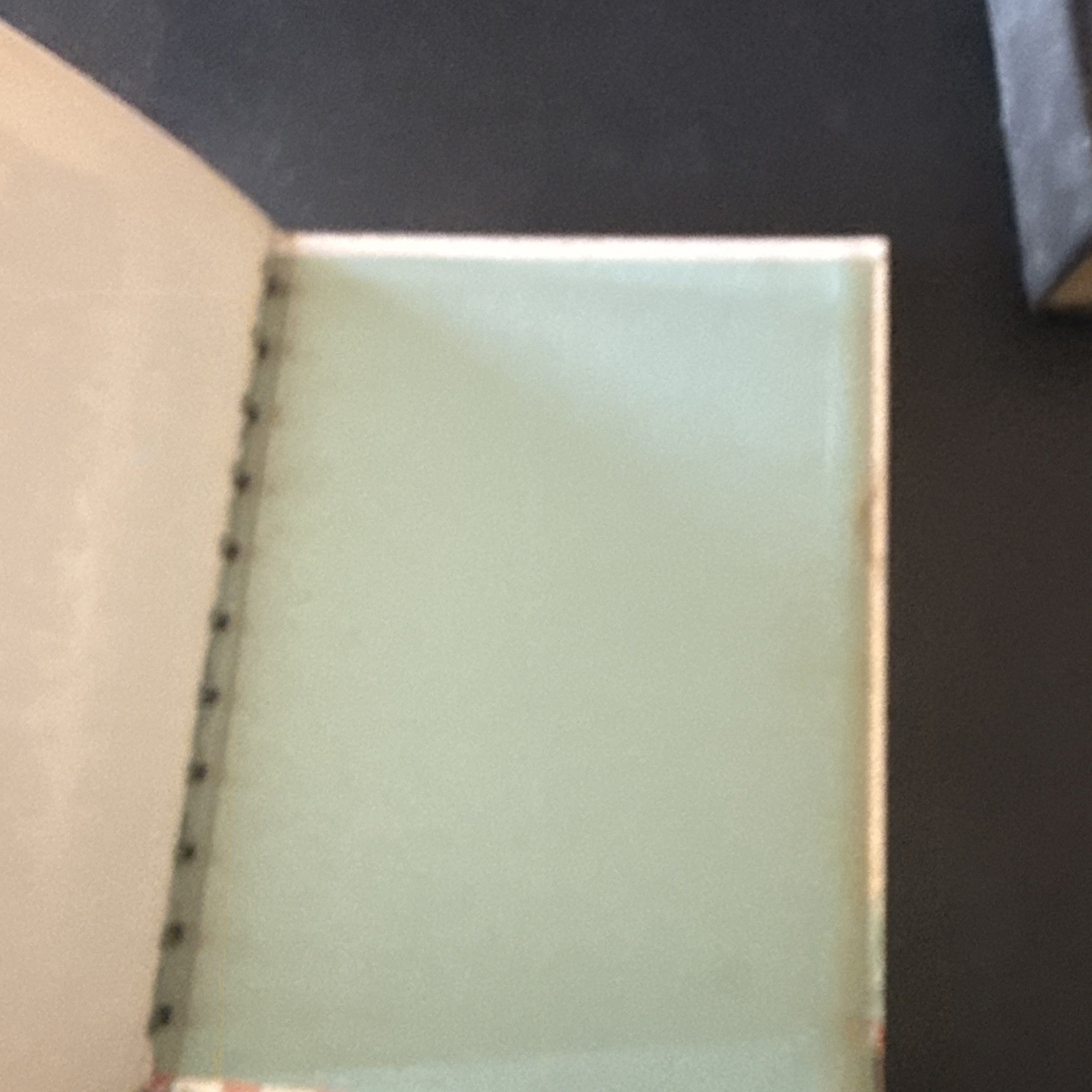 Picture 9 of 9